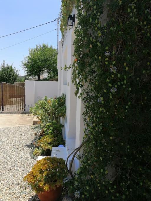 Casa Jardin. Vivienda Rural En Zona Tranquila. Vila Lucainena de las Torres Exterior foto