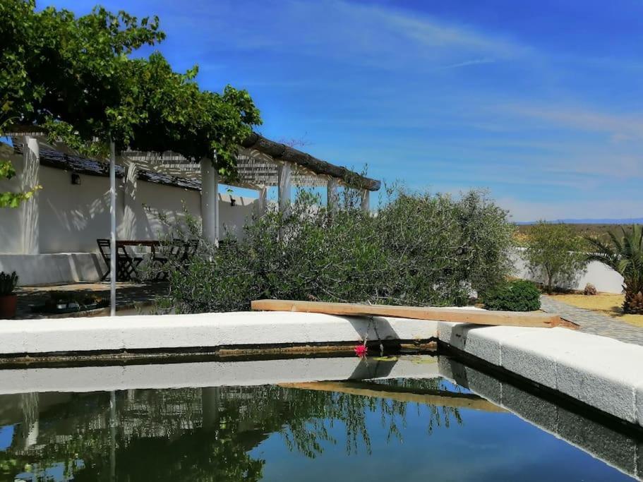 Casa Jardin. Vivienda Rural En Zona Tranquila. Vila Lucainena de las Torres Exterior foto