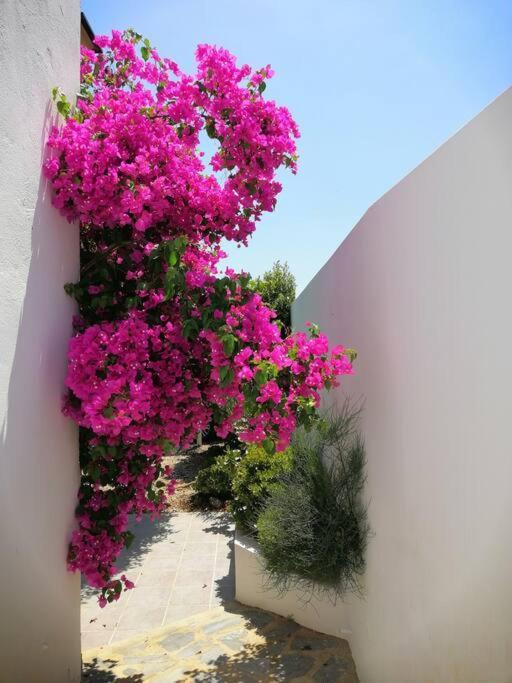 Casa Jardin. Vivienda Rural En Zona Tranquila. Vila Lucainena de las Torres Exterior foto