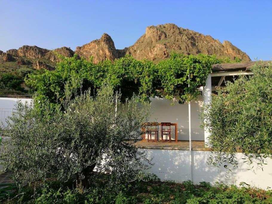 Casa Jardin. Vivienda Rural En Zona Tranquila. Vila Lucainena de las Torres Exterior foto
