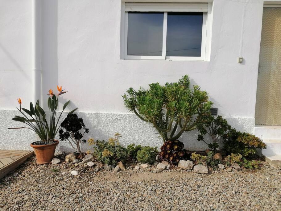 Casa Jardin. Vivienda Rural En Zona Tranquila. Vila Lucainena de las Torres Exterior foto